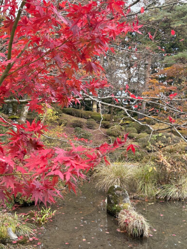 日光東照宮の紅葉