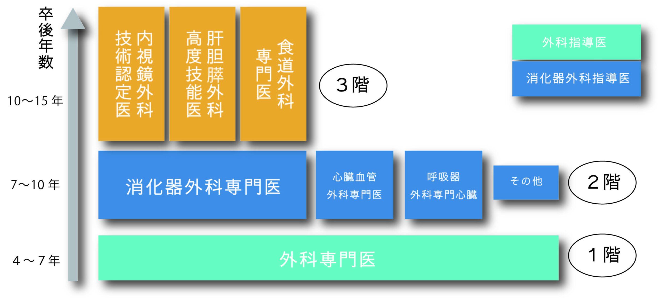 外科　専門医　消化器外科　専門医