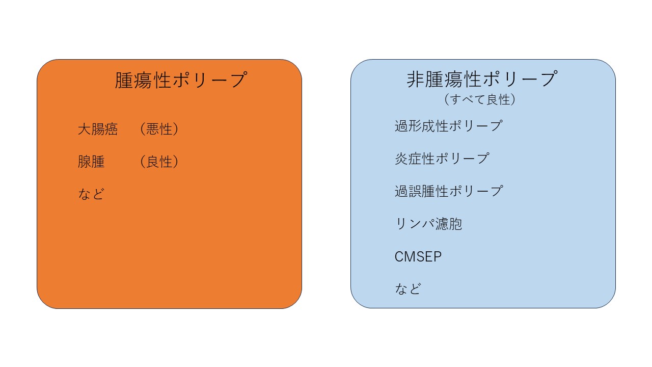 大腸ポリープの分類